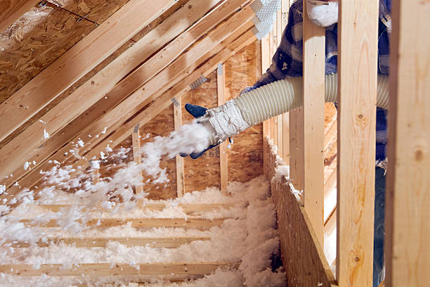 Best Wall Insulation Installation  in Campbellsport, WI